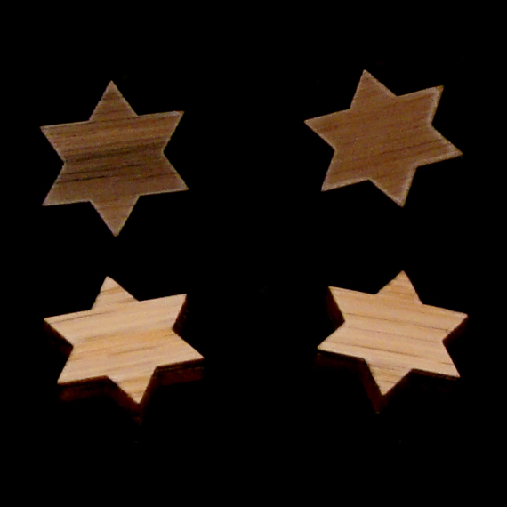 sustainable wooden post earrings, star of david